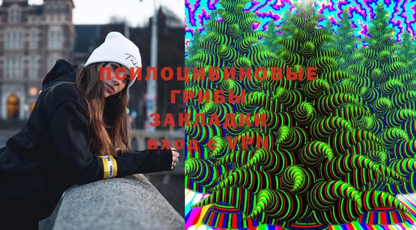 гидропоника Осинники