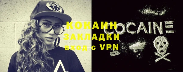 индика Осташков