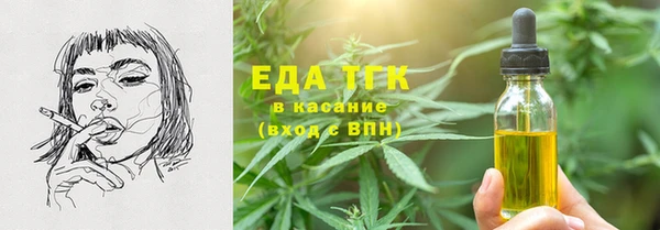 индика Осташков