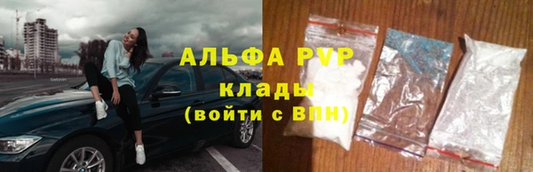 индика Осташков
