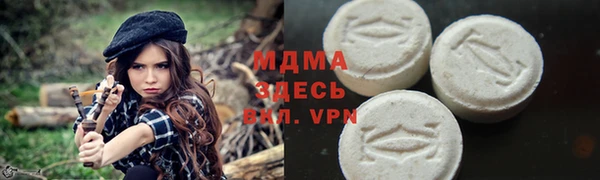 индика Осташков