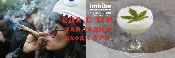 индика Осташков