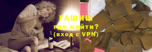 индика Осташков