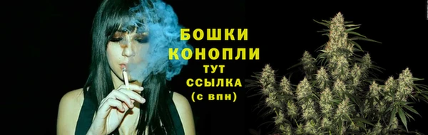 индика Осташков