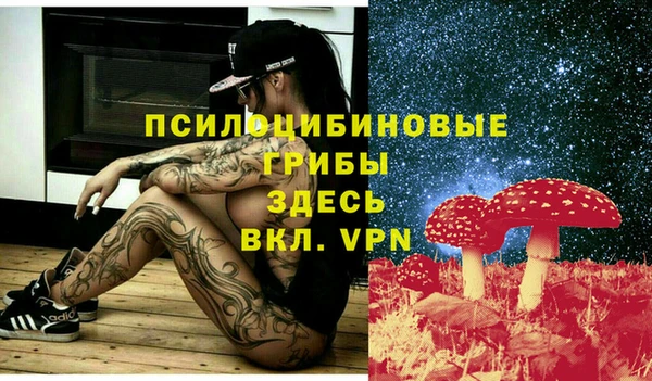 гидропоника Осинники