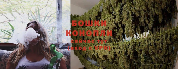 индика Осташков