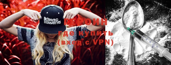 индика Осташков