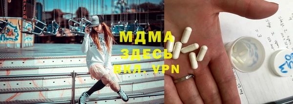 индика Осташков